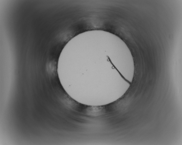 X0000115370672200911101247