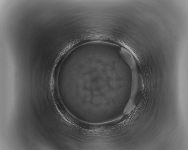 X0000115370674200911101247