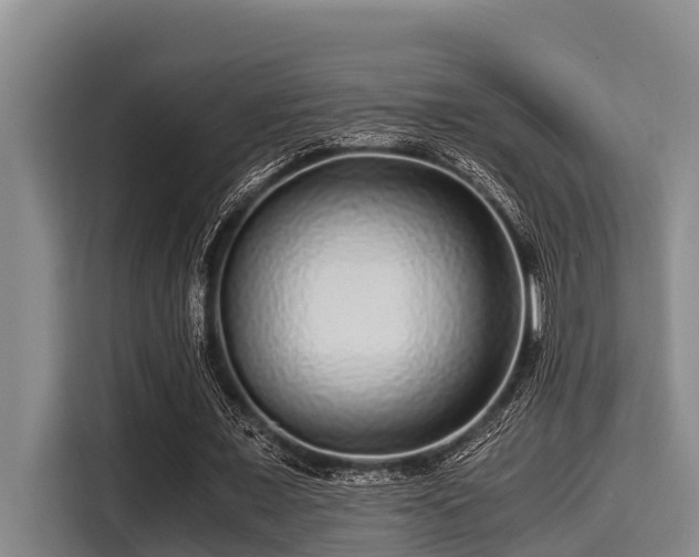 X0000115370675200911101247