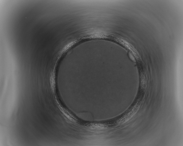 X0000115370677200911101247
