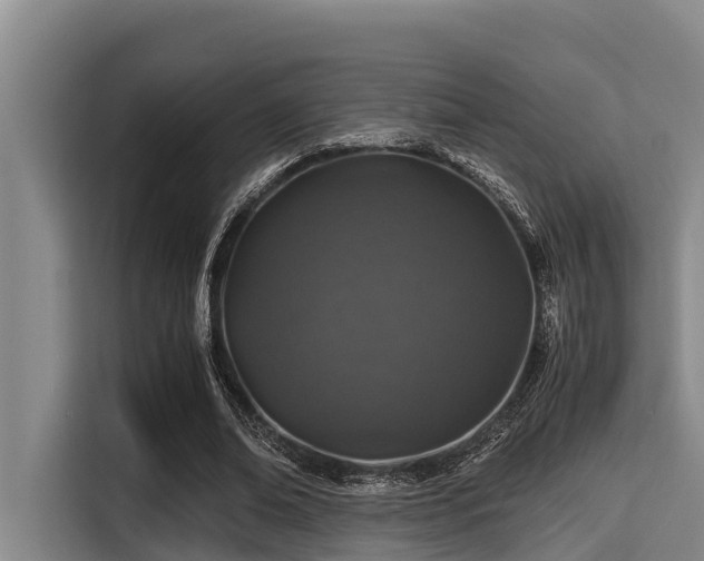 X0000115370678200911101247