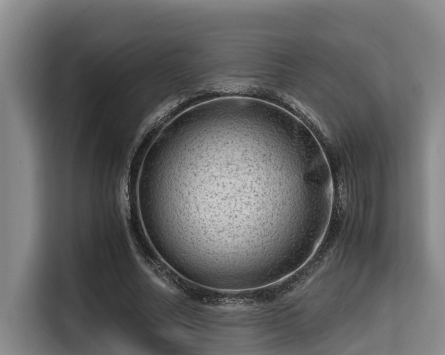 X0000115370682200911101247