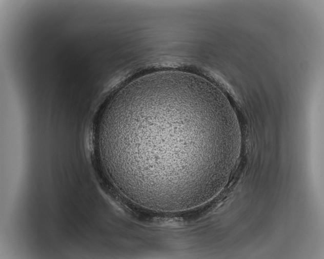 X0000115370683200911101247