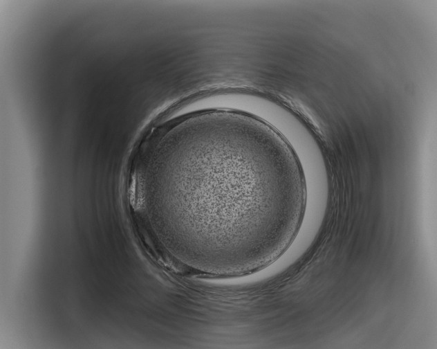 X0000115370684200911101246