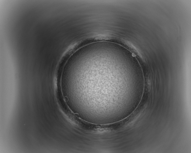 X0000115370686200911101246