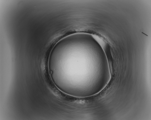 X0000115370687200911101246