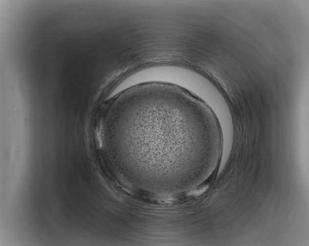 X0000115370688200911101246