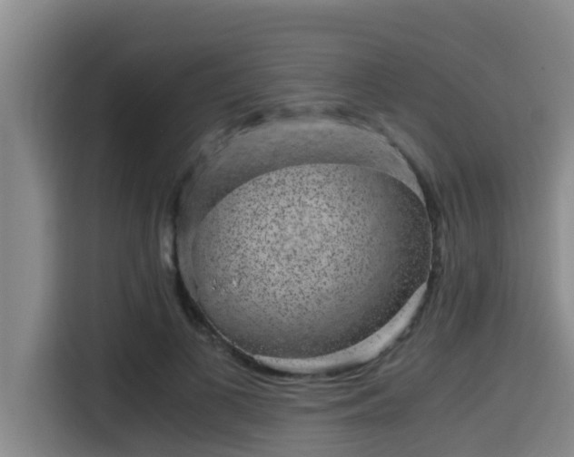 X0000115370693200911101246