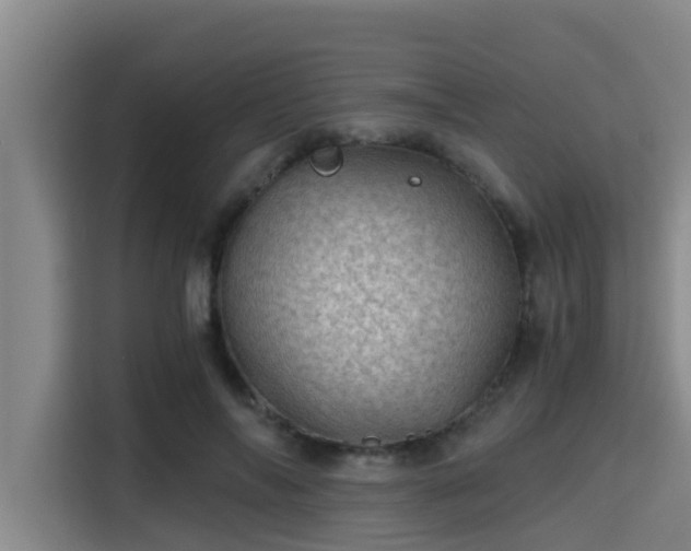 X0000115370694200911101246