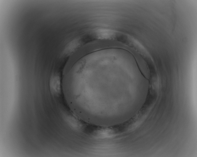 X0000115370696200911101246