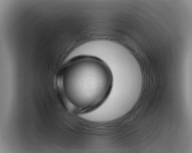 X0000115370700200911101246