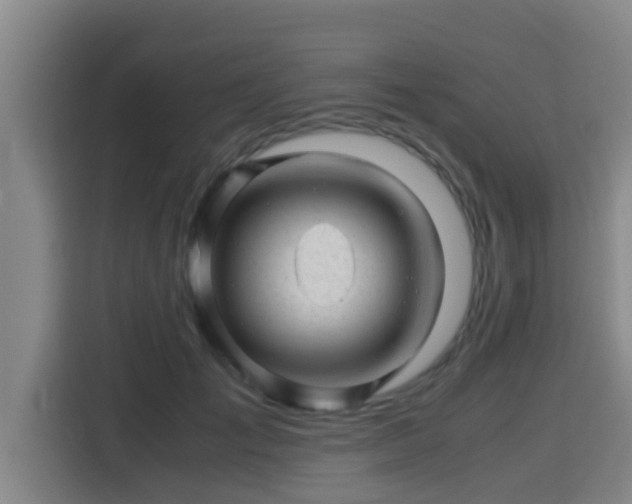X0000115370701200911101246