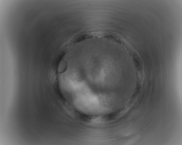 X0000115370705200911101246