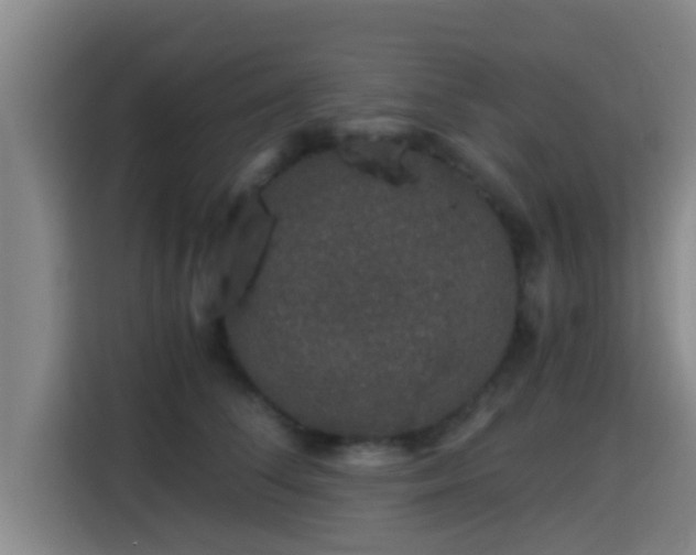 X0000115370708200911101246