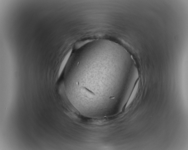 X0000115370709200911101246