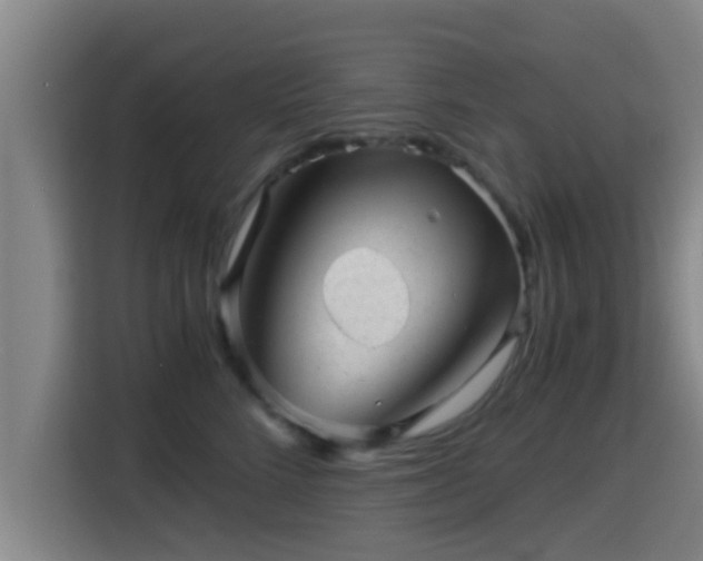 X0000115370712200911101246