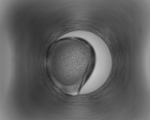 X0000115370713200911101246