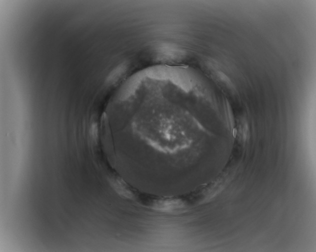 X0000115370716200911101246