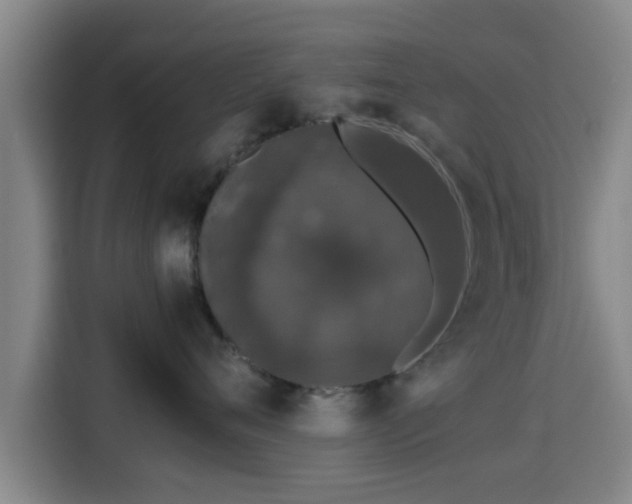 X0000115370720200911101246