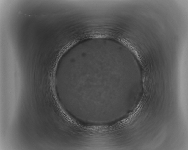 X0000115370721200911101245