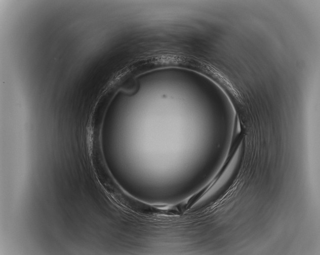 X0000115370722200911101245
