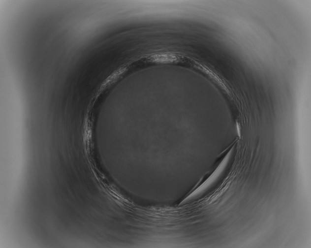 X0000115370723200911101245