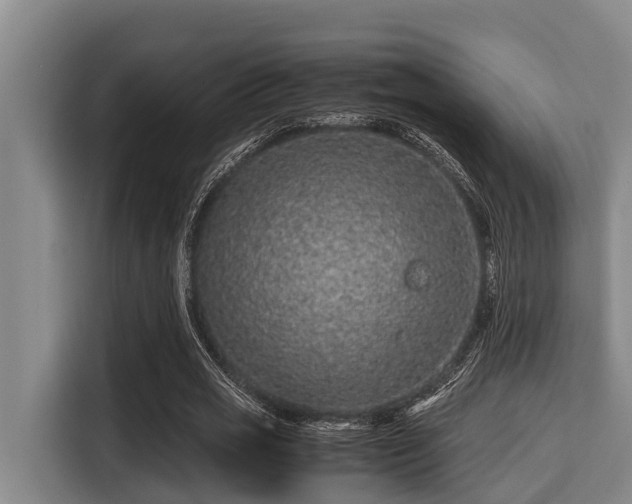 X0000115370725200911101245