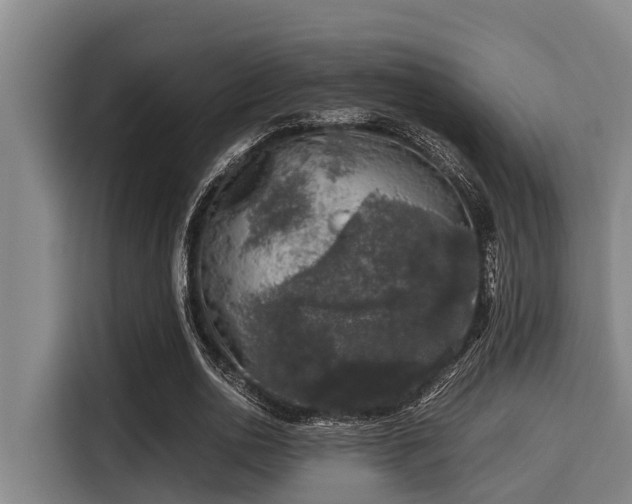 X0000115370726200911101245