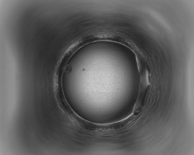 X0000115370727200911101245