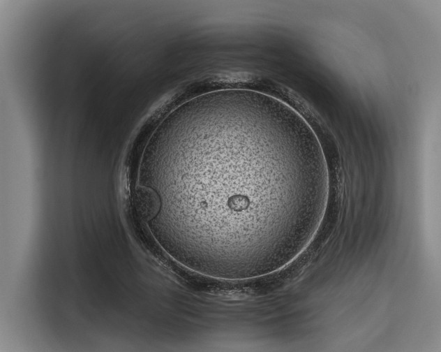 X0000115370731200911101246