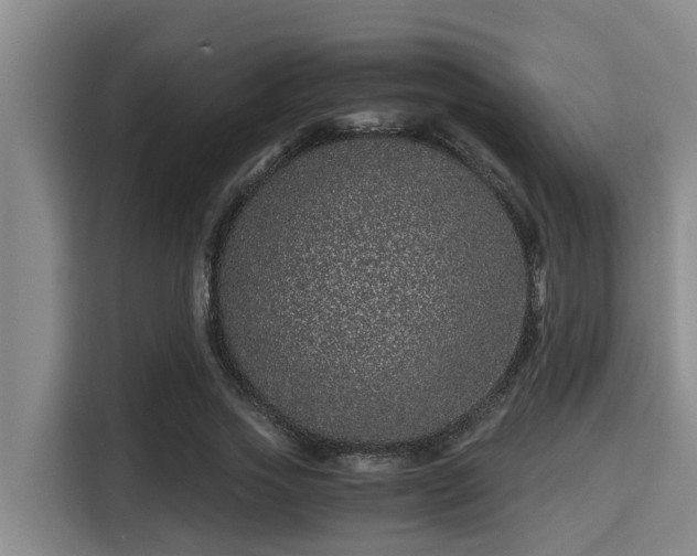 X0000115370733200911101246