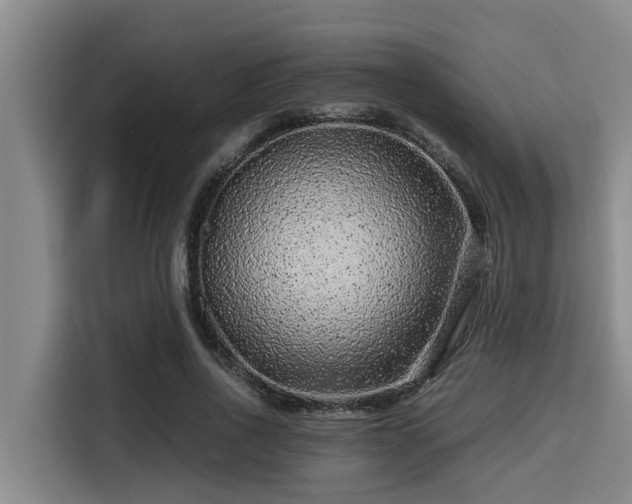 X0000115370734200911101246
