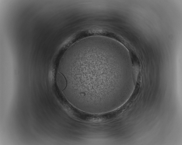 X0000115370735200911101246