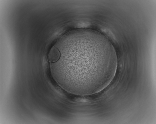 X0000115370743200911101246