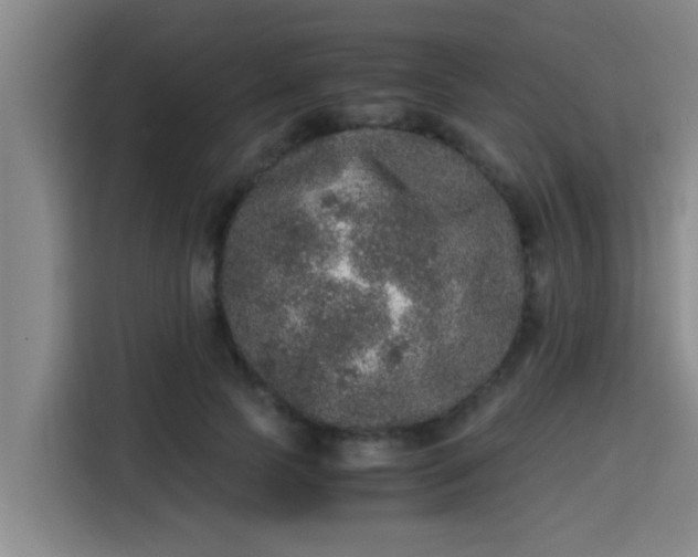 X0000115370745200911101246