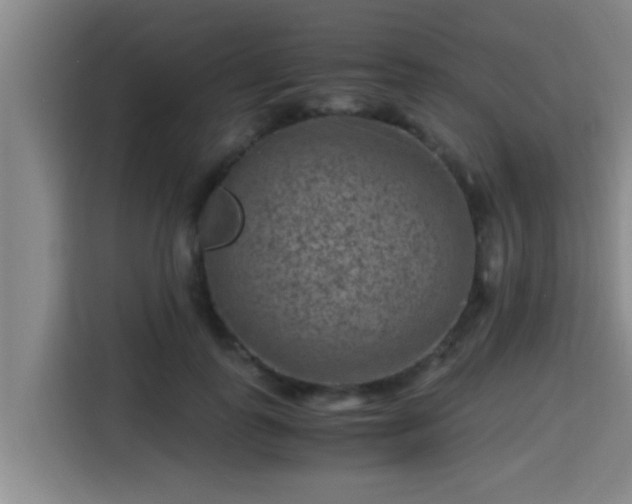 X0000115370747200911101246