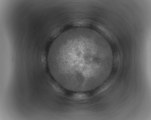 X0000115370749200911101246