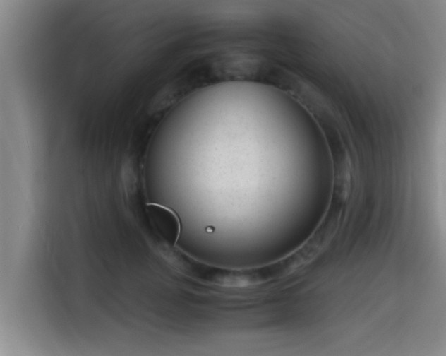 X0000115370751200911101246
