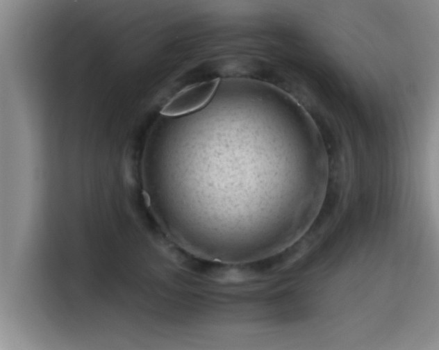 X0000115370755200911101246