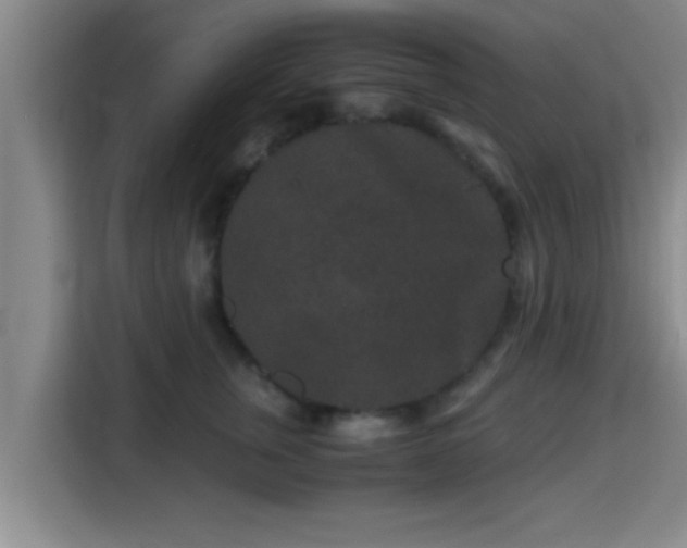 X0000115370759200911101246