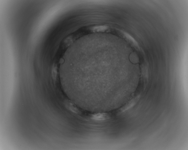X0000115370761200911101246