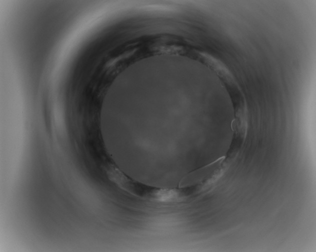 X0000115370762200911101246