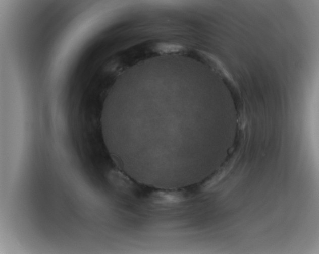 X0000115370763200911101246