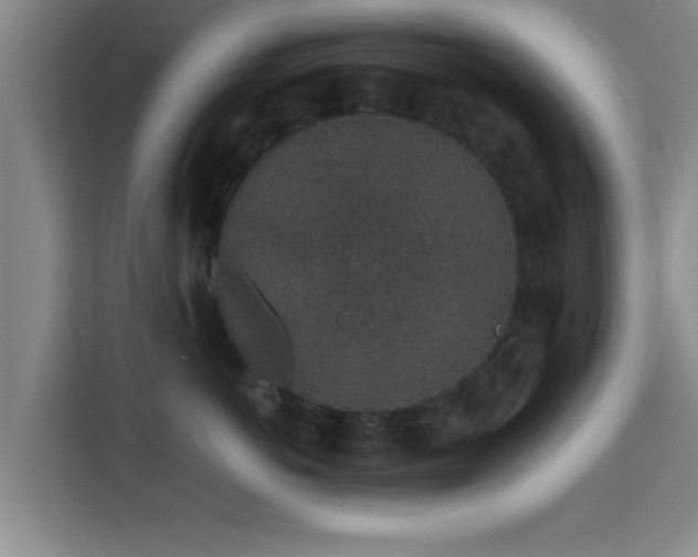 X0000115370766200911101246