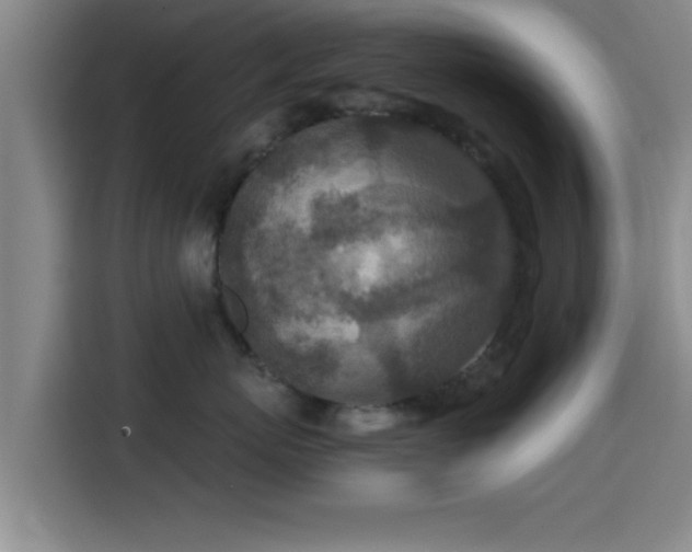 X0000115370767200911101246