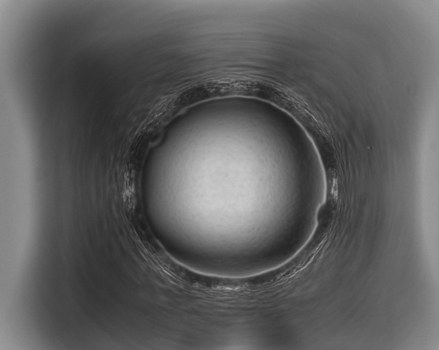 X0000115370771200911101245