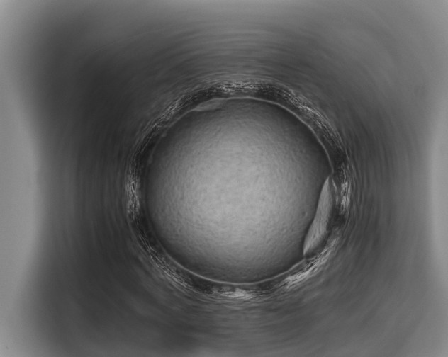 X0000115370772200911101245
