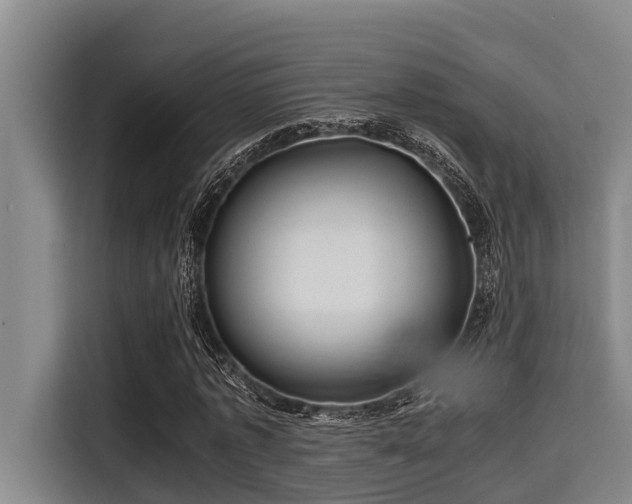 X0000115370773200911101245