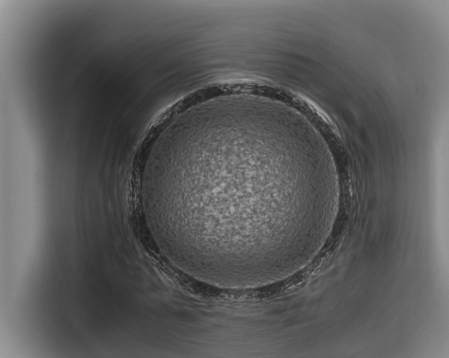 X0000115370775200911101245