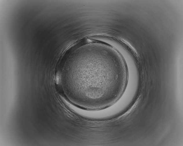 X0000115370777200911101245